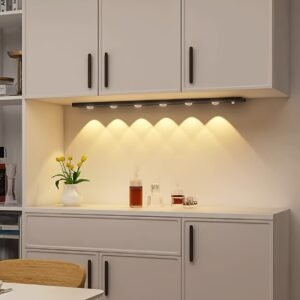 Modern LED Motion Sensor Strip Light